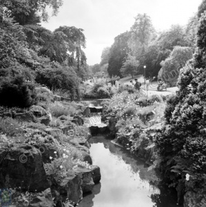 Harrogate, Valley Gardens, Rockery